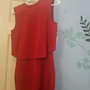 New York and Company Red knee length dress